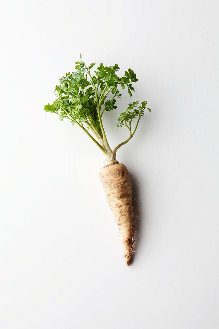 Parsley root on a white surface