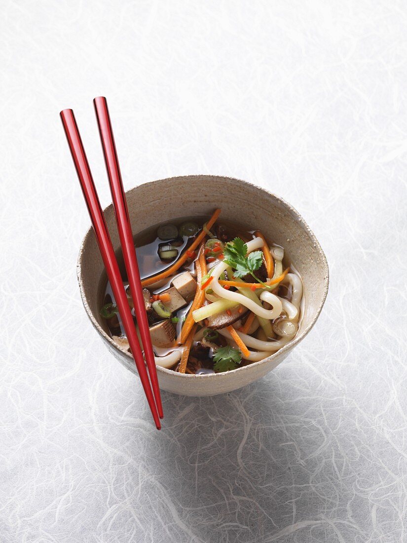 Veganer Udon-Nudeltopf mit Räuchertofu, Sake und frischem Korianer