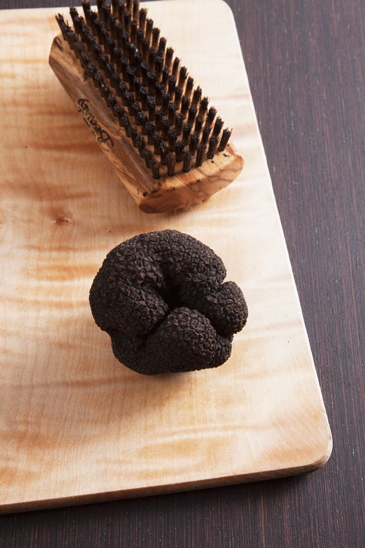 A summer truffle and a mushroom brush