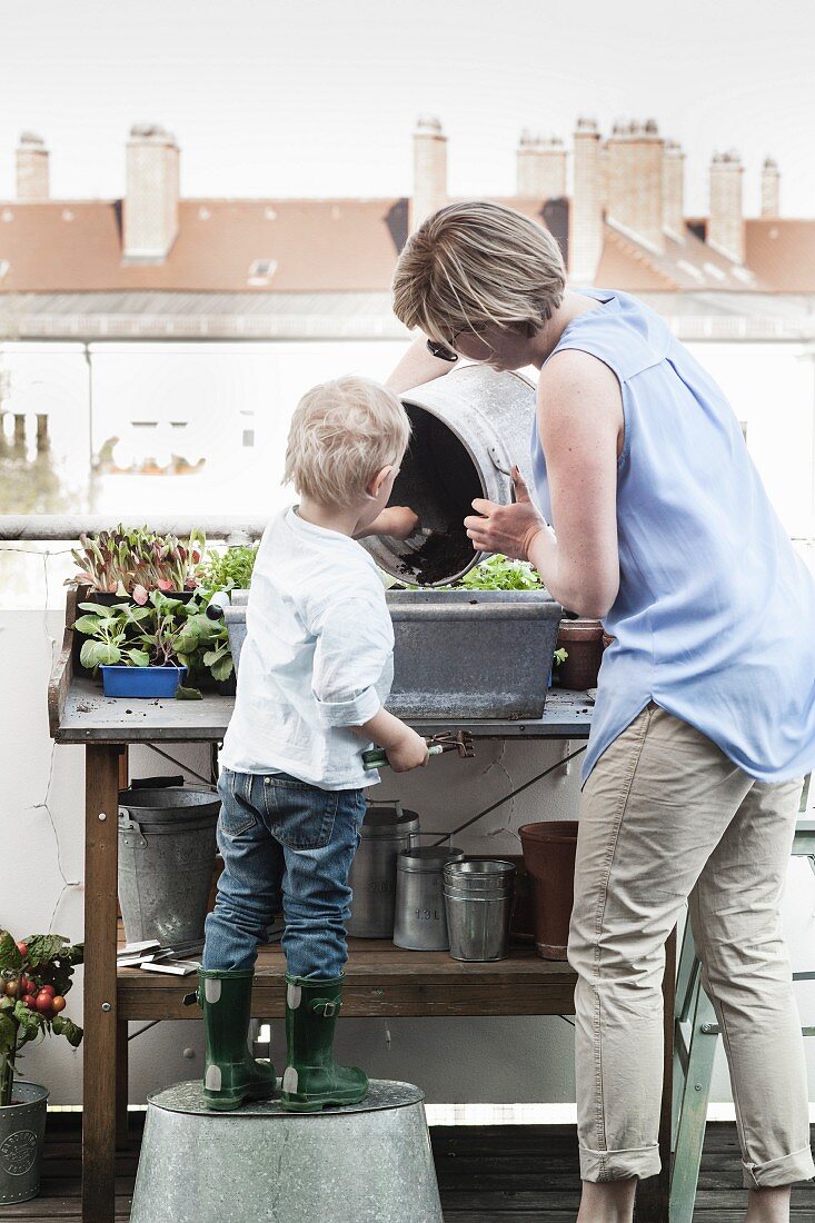 Frau und Junge pflanzen an Pflanztisch auf Dachterrasse