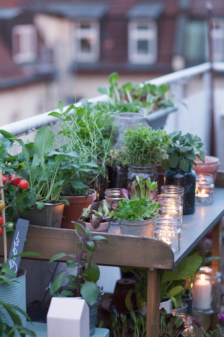 Potting bench on roof terrace decorated with plants and tealights at twilight