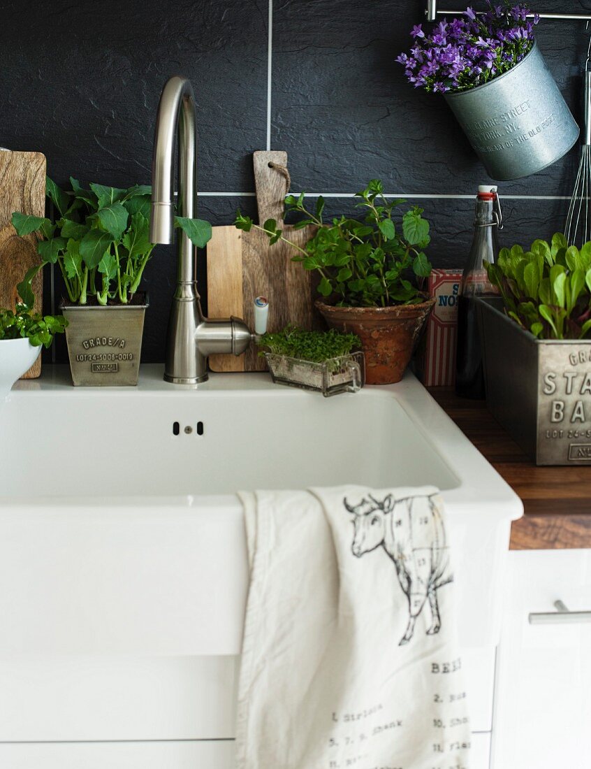 Kitchen sink decorated with various potted plants