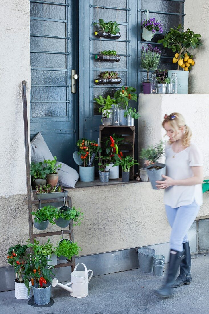 Platform outside front door decorated with potted vegetable plants and herbs