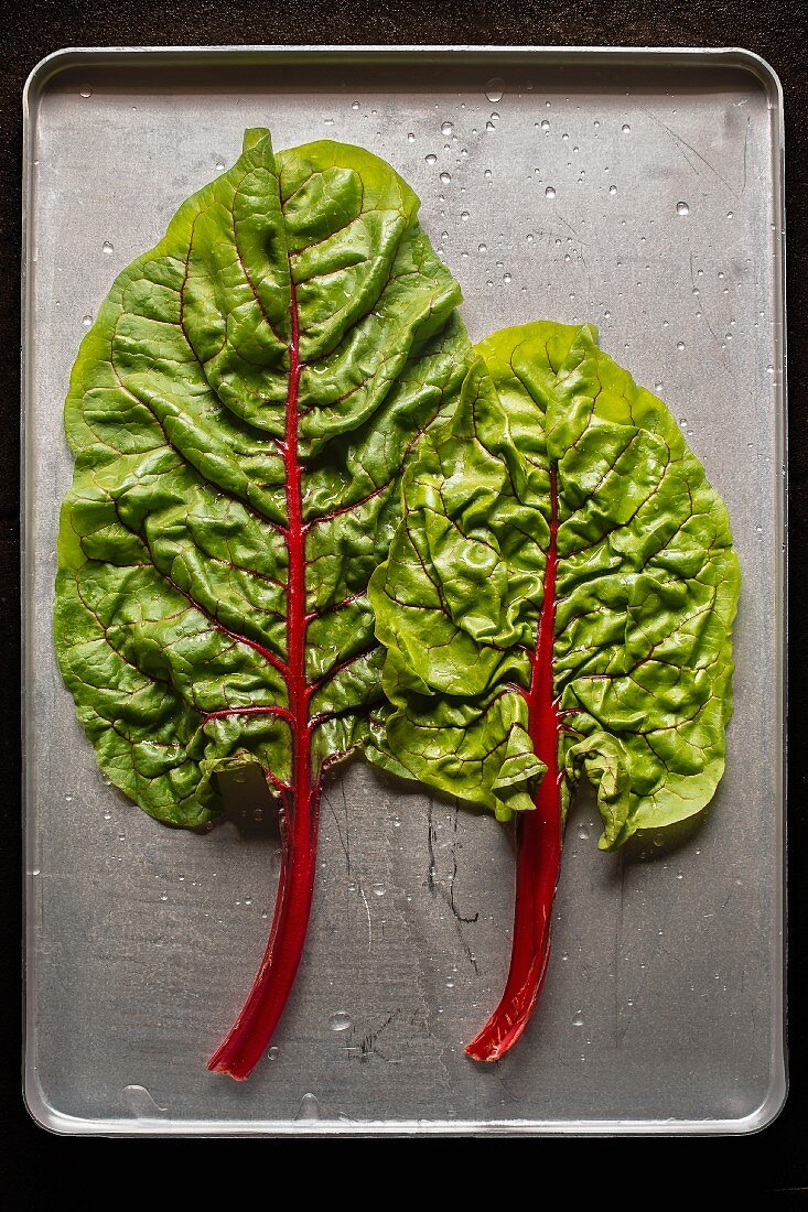 Two chard leaves (seen from above)