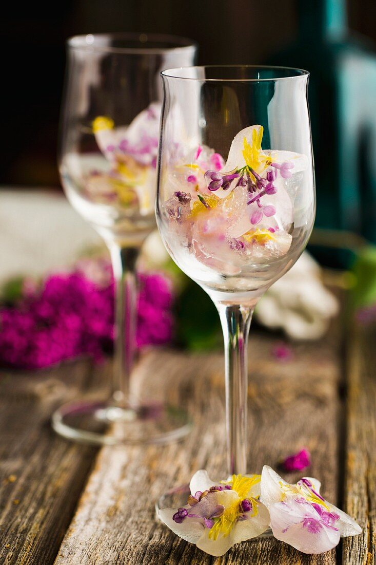 Ice cubes with lilac flowers and dandelion flowers