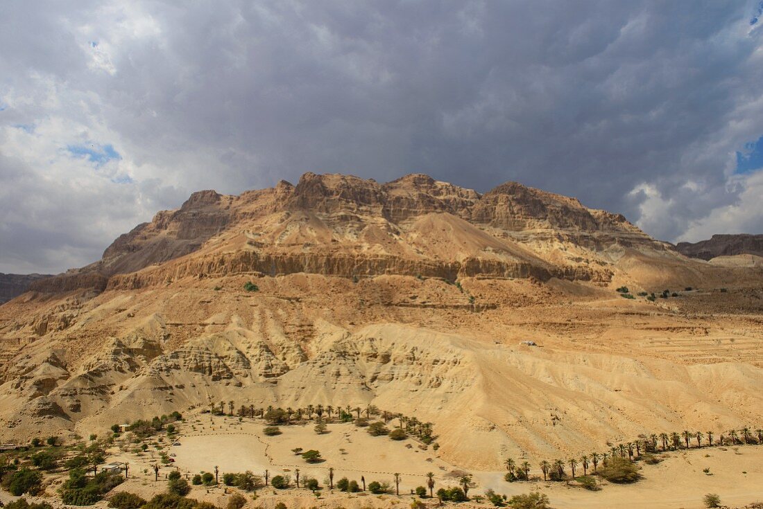 A view from the Ein Gedi kibbutz in the desert by the Dead Sea