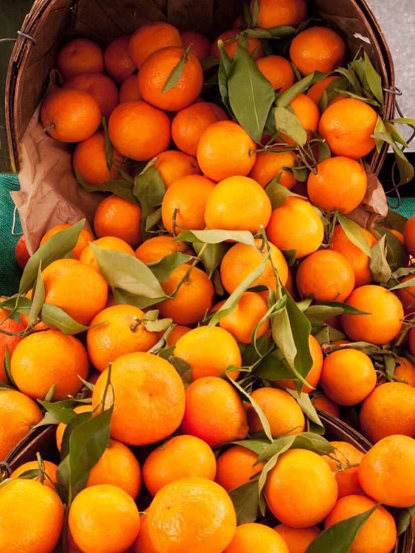 Tangerines at a market