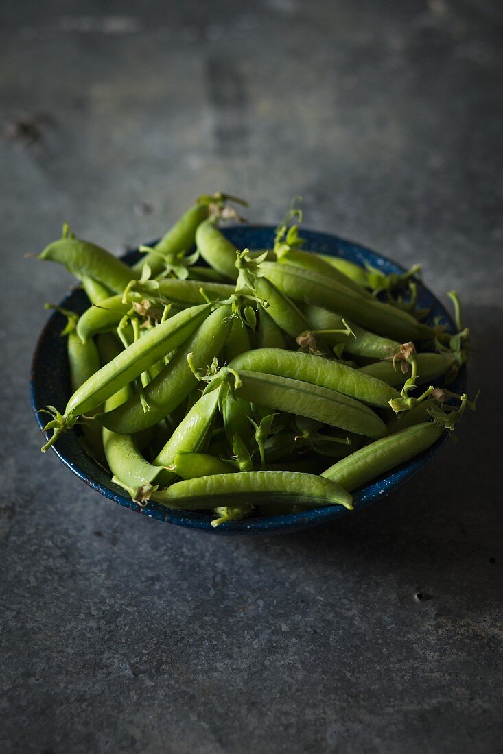 Pea pods in a blue metal bowl