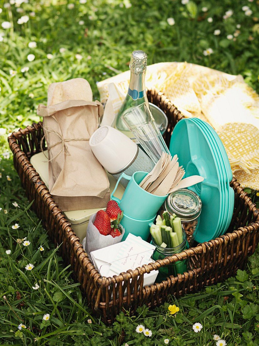 A picnic basket in a meadow