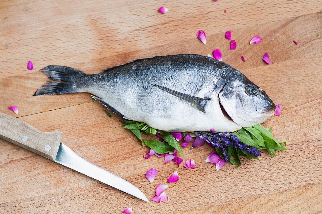 Gefüllte Dorade mit Verbene, Rosenblättern und Lavendel