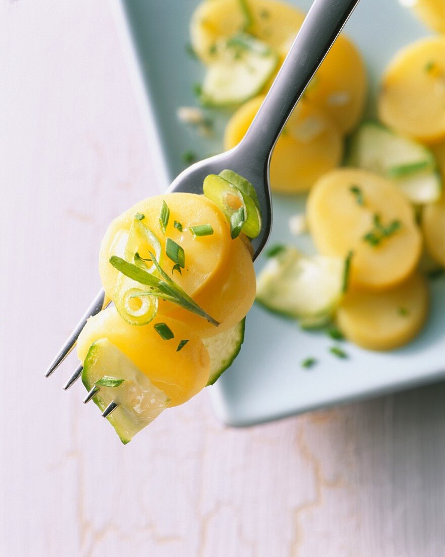 Potato salad with chives on a fork