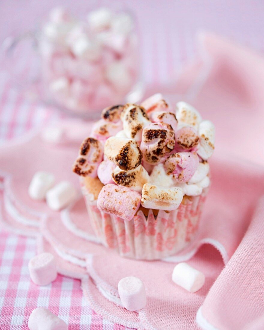 A cupcake topped with toasted marshmallows