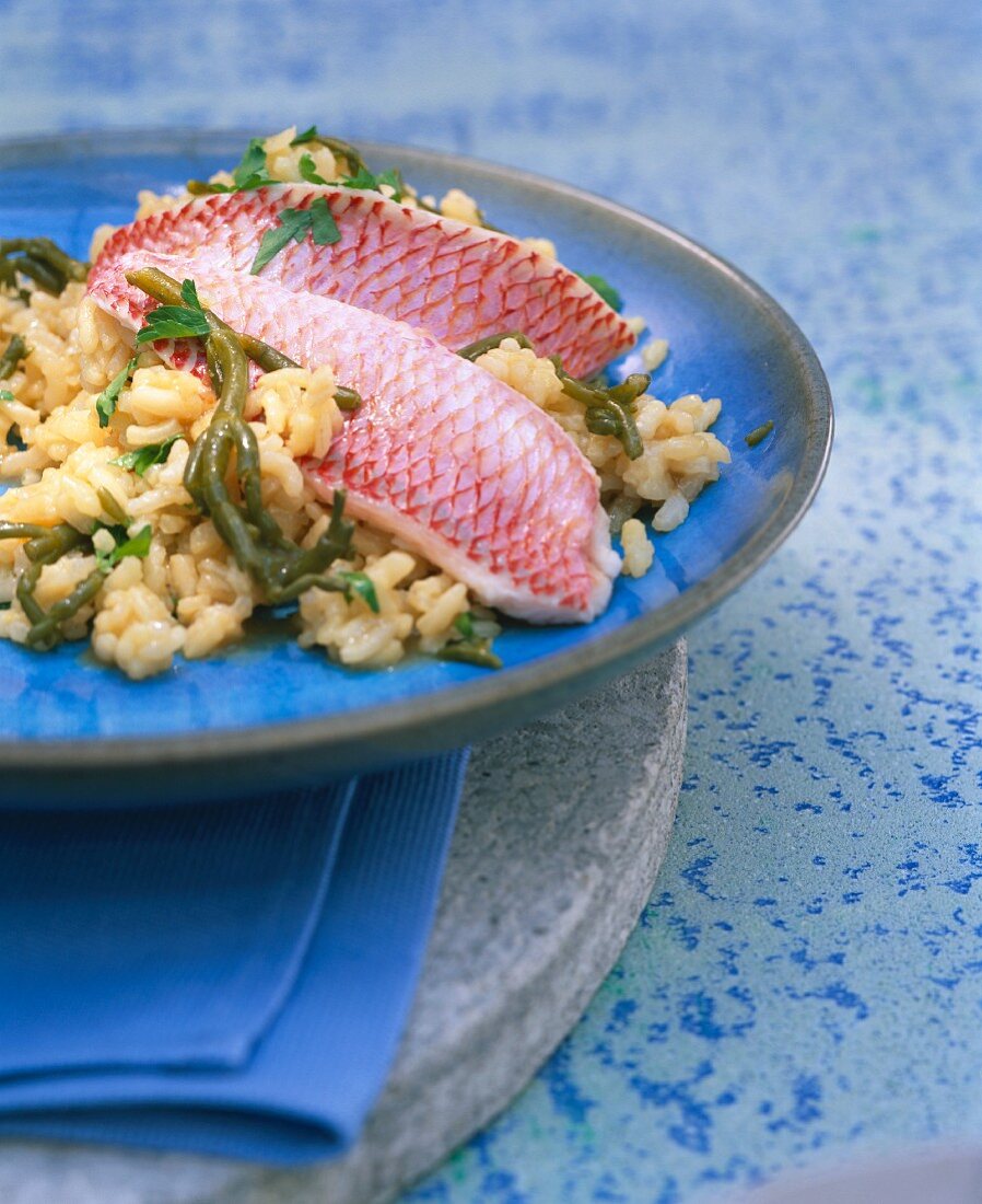 Rotbarbenfilets auf Risotto mit Algen