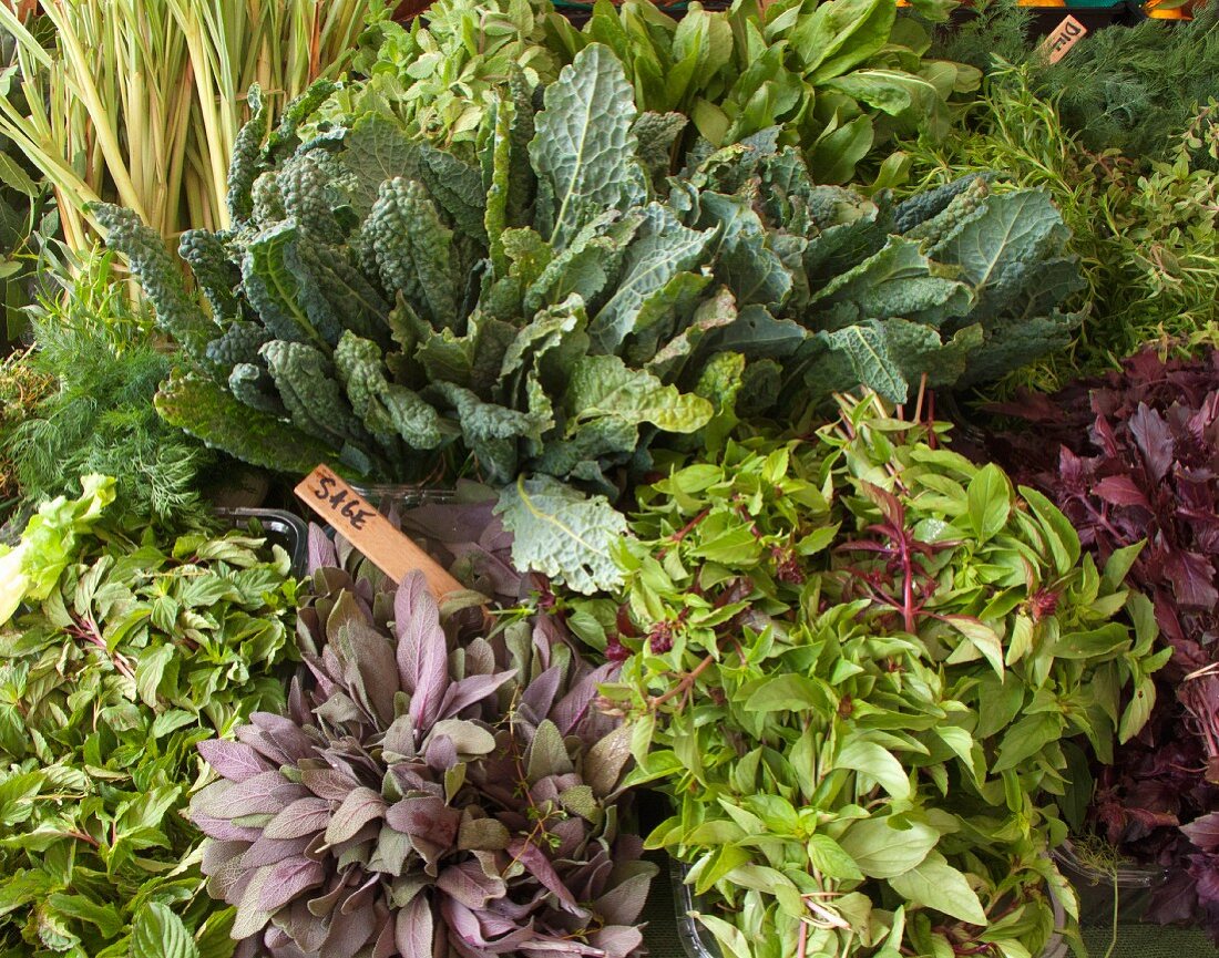 Fresh herbs and kale on a market stand