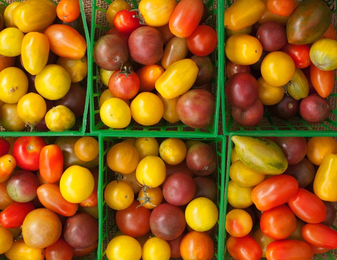 Various types of mini heirloom tomatoes in plastic baskets