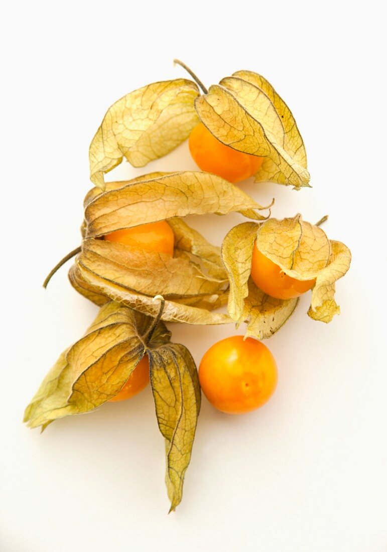 Five physalis on a white surface