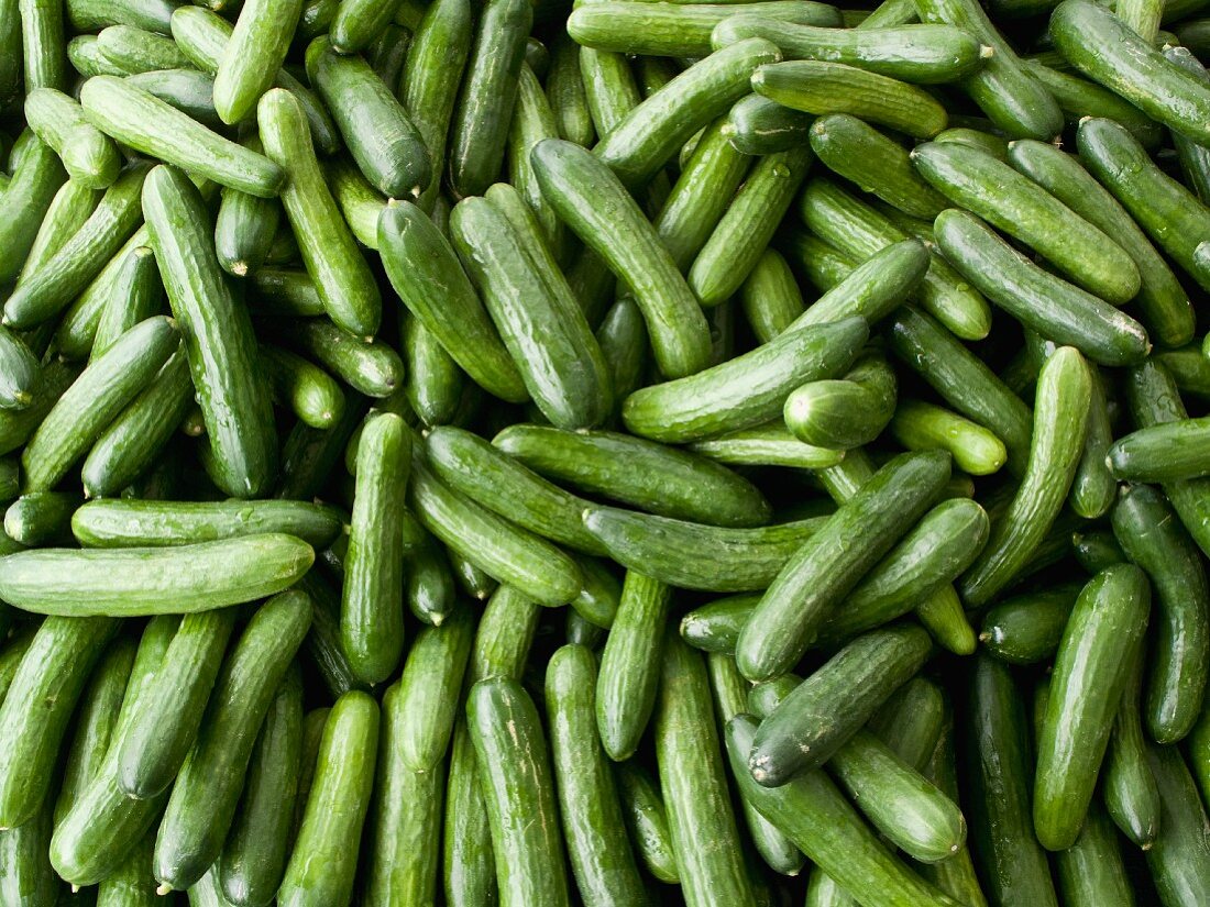 Mini cucumbers (full frame)