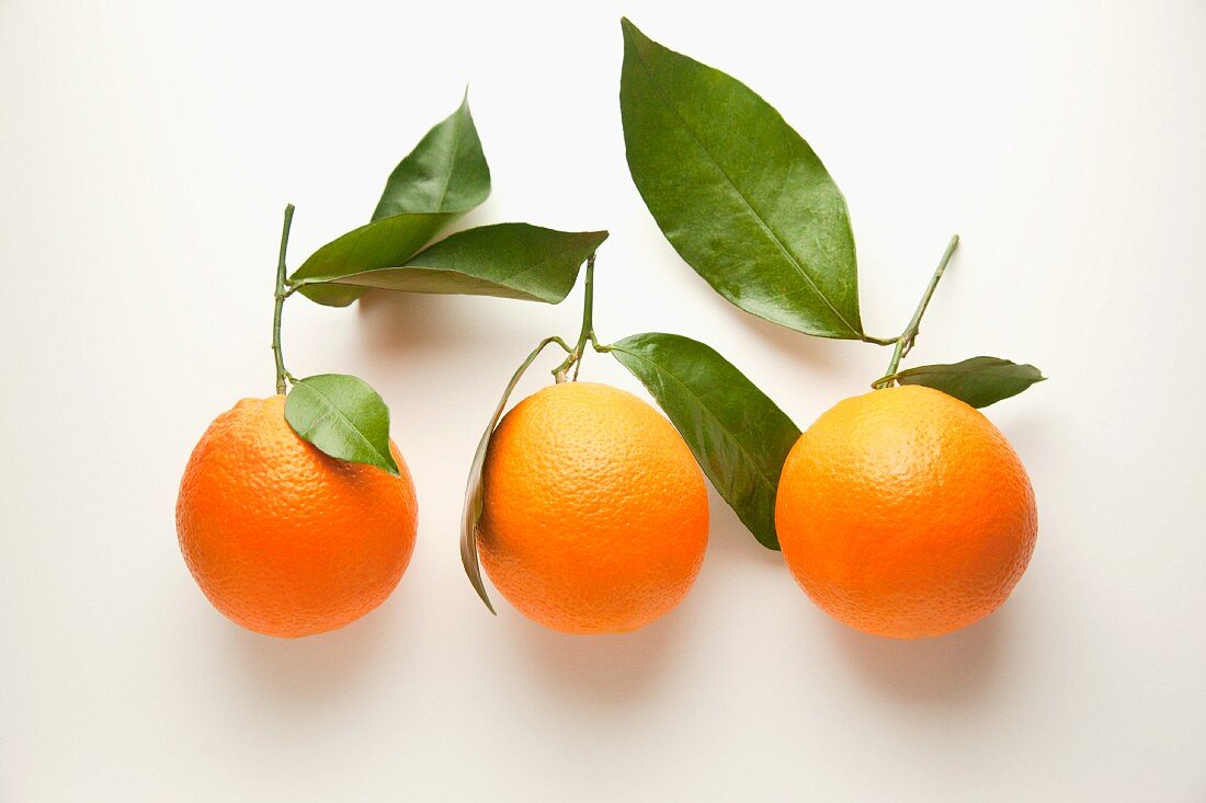Three Navel oranges with leaves on a white surface