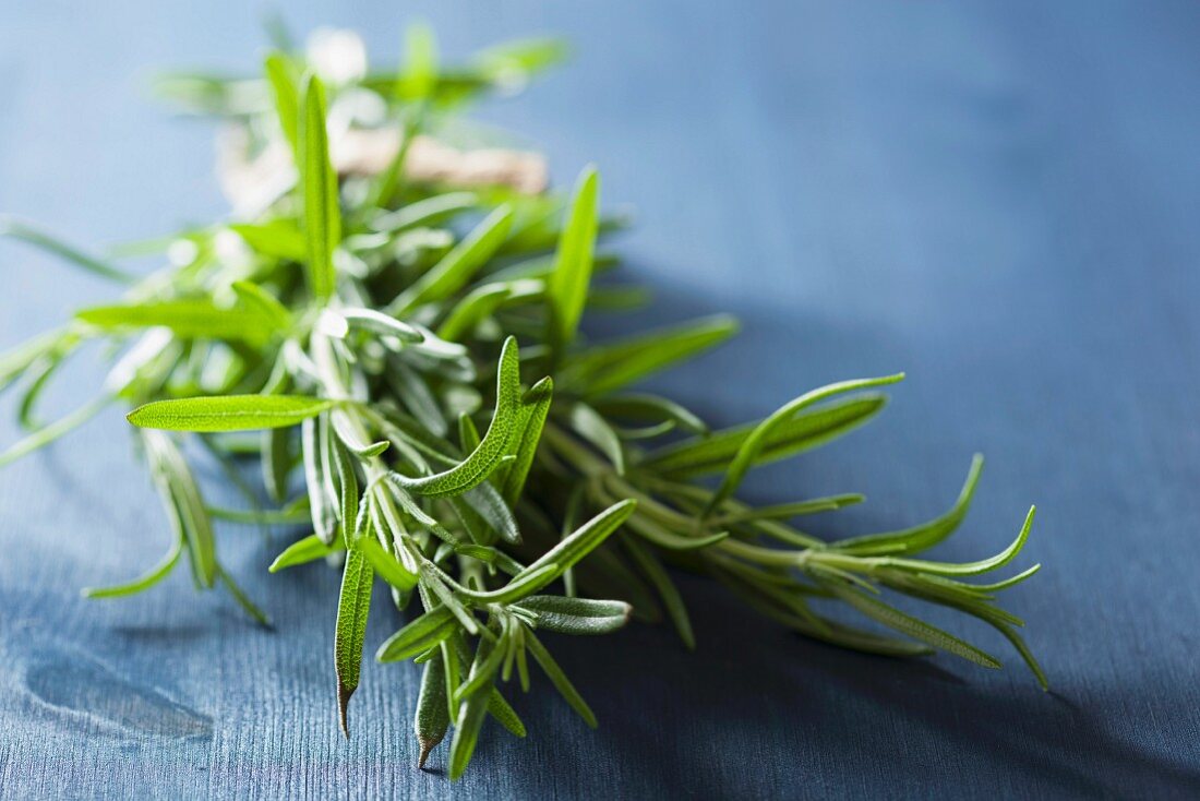 Fresh rosemary on a blue surface