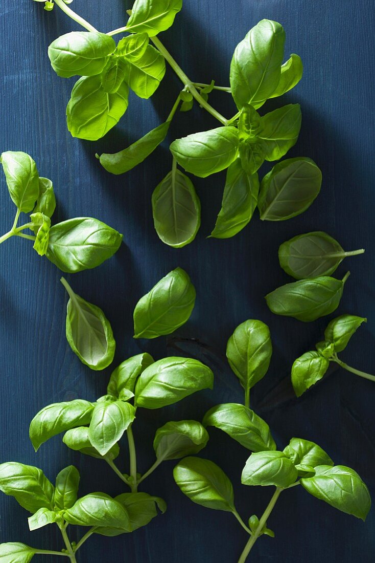 Fresh basil on a blue wooden surface