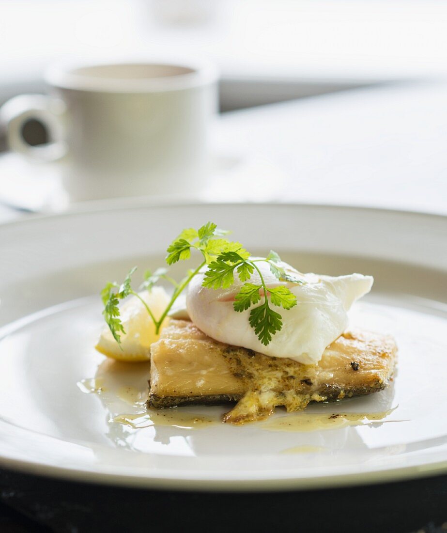 Stockfish with poached egg