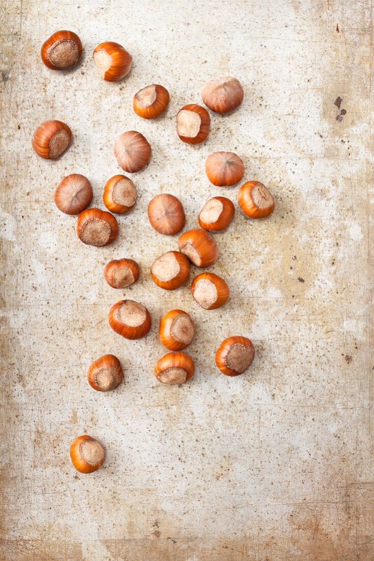 Hazelnuts on a metal surface