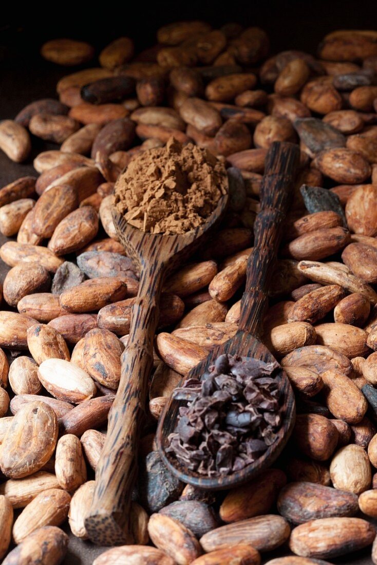 Kakaobohnen, Kakaopulver und Kakaobohnenbruchstücke