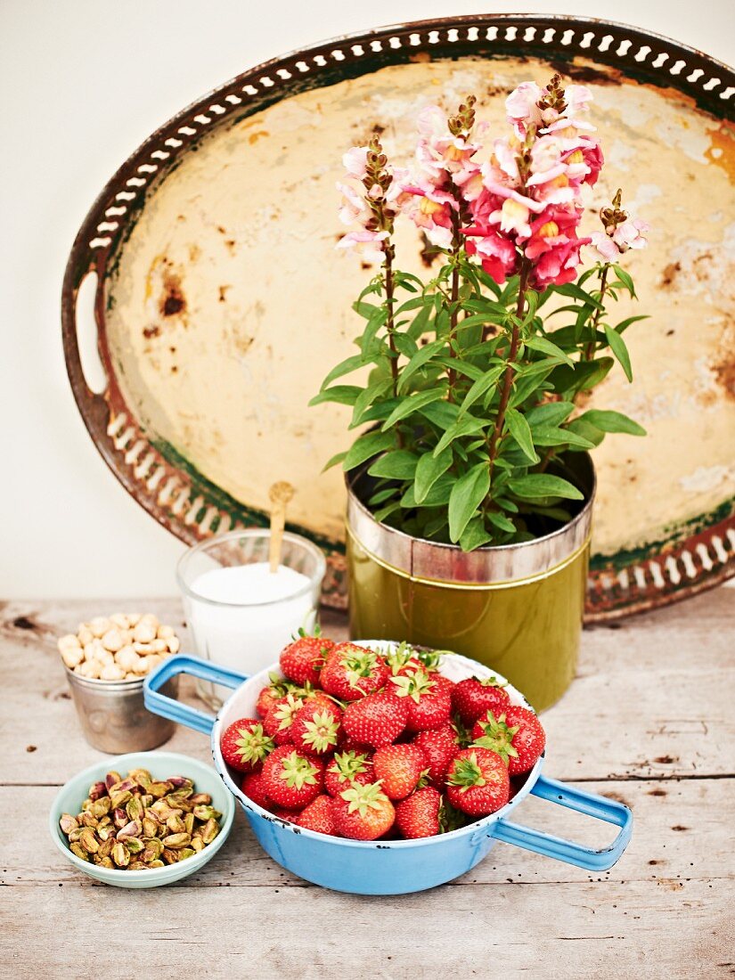 Zutaten für Erdbeerkuchen: Erdbeeren, Pistazien und Haselnüsse
