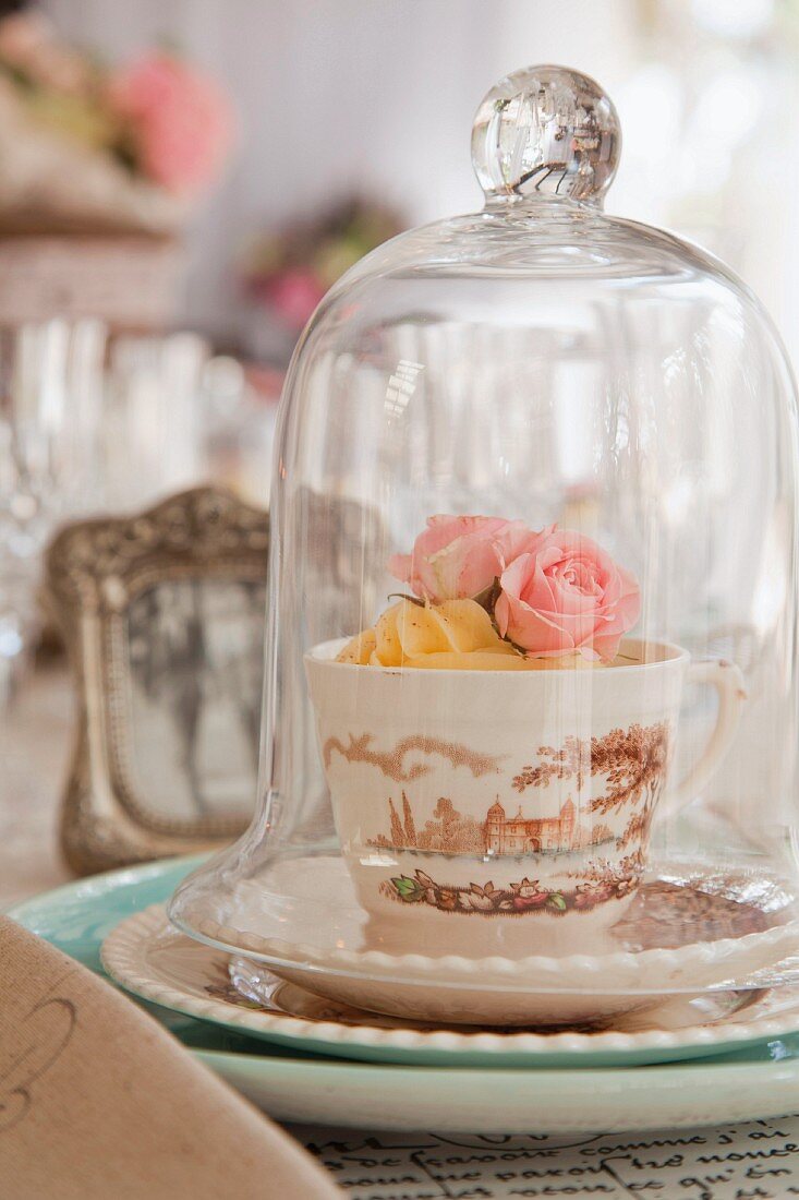 Roses in teacup with printed design under glass cover