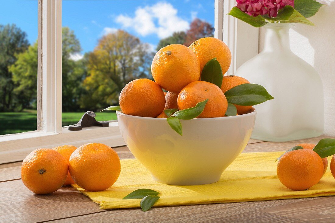A bowl of mandarins on a table by a window