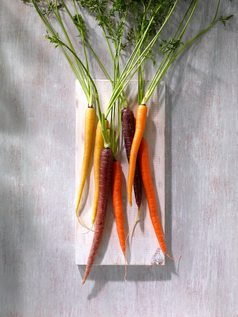 Various types of carrots (seen from above)