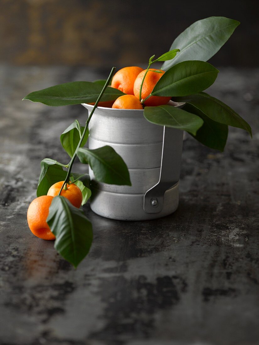 Ornamental oranges on sprigs in a metal pot