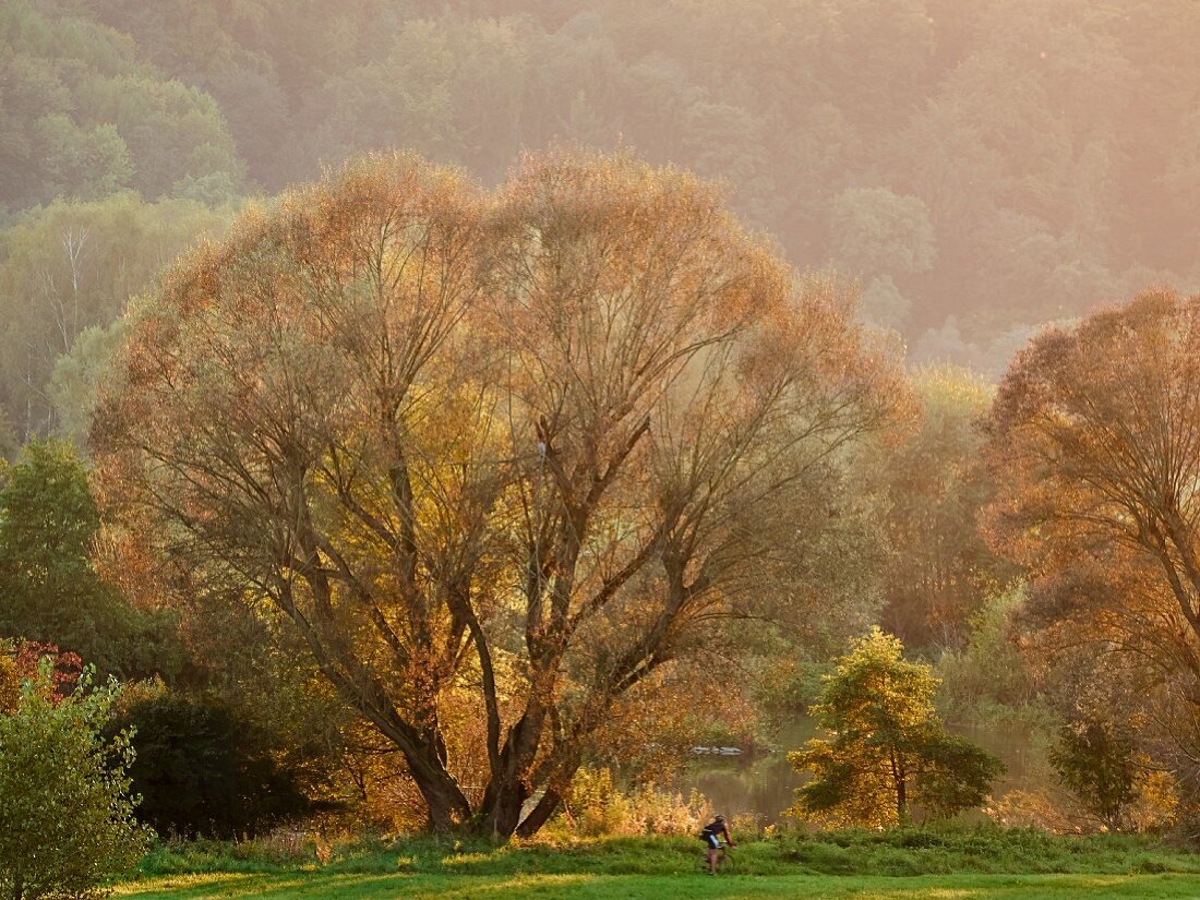 A cyclist enjoying the nature in the beautiful Rhur valley, North Rhine Westphalia