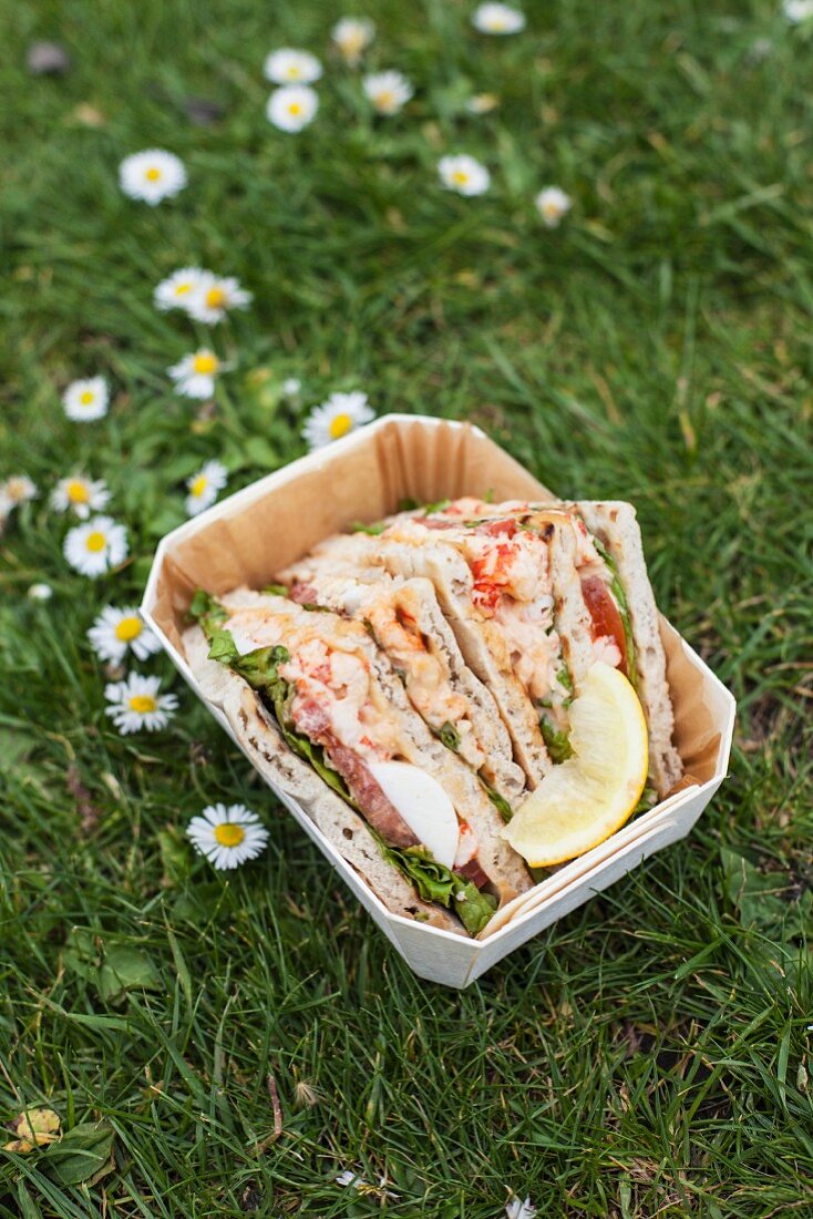 Unleavened bread sandwiches in a box in a field