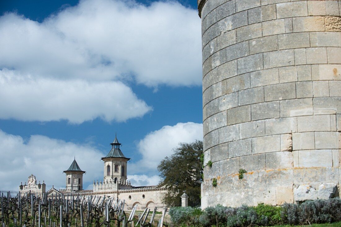 Frühlingshimmel & Reben vor dem Austrieb am Weingut Cos D Estournel (Bordeaux, Frankreich)