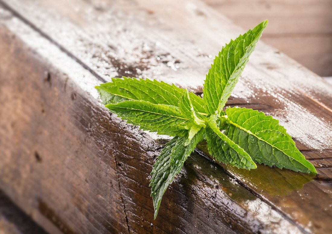 Fresh mint on a wooden crate