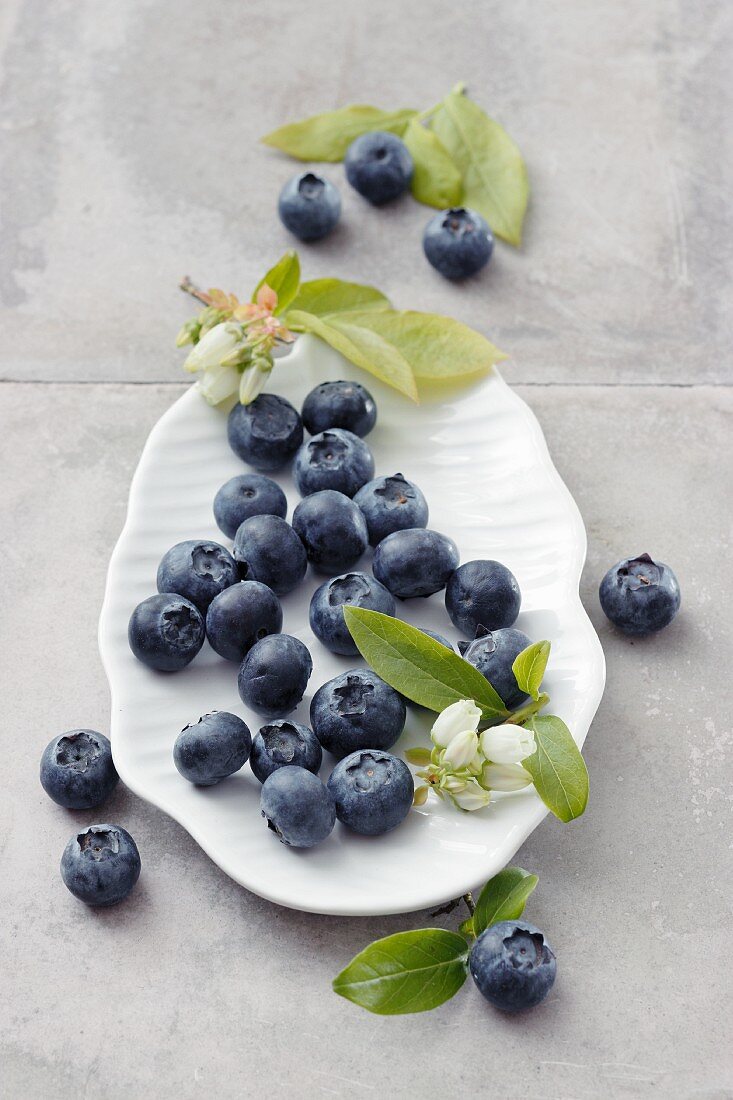 Blaubeeren mit Blättern und Blüten