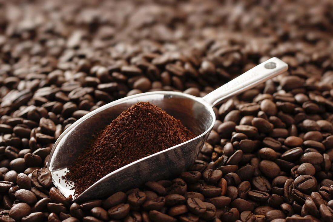 Scoop of ground coffee on coffee beans