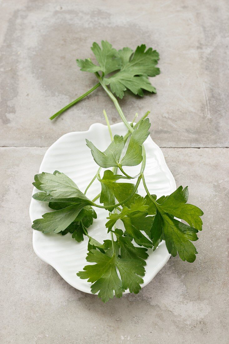 Fresh, flat-leaf parsley on a plate