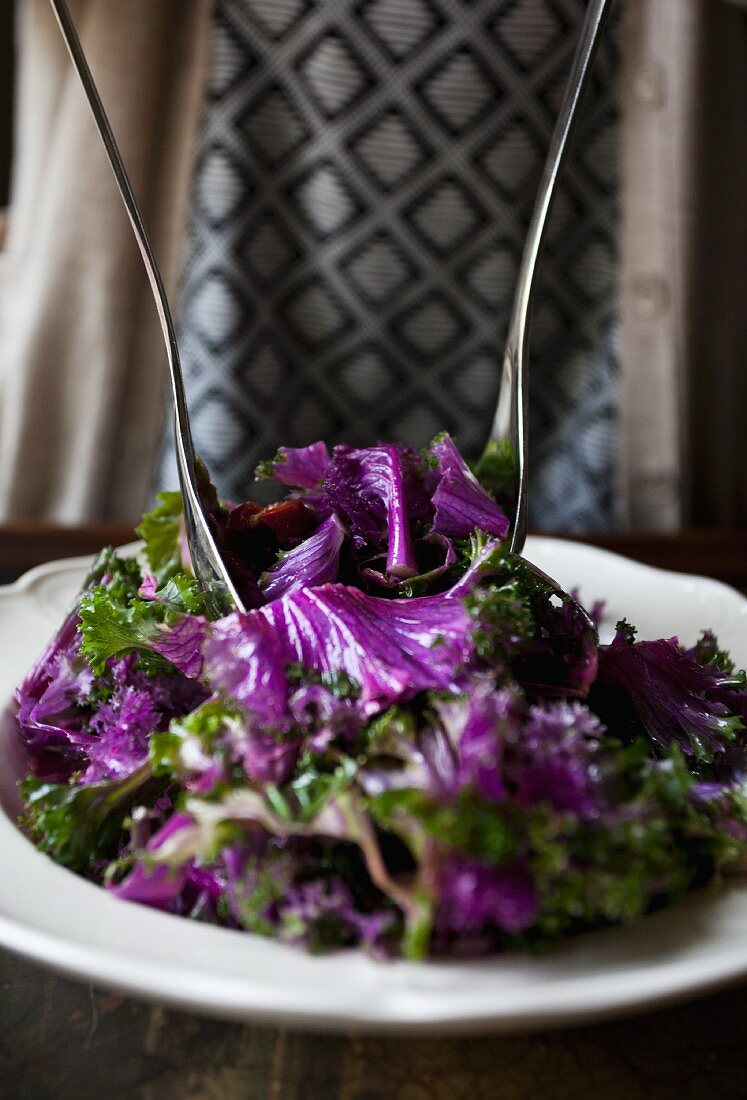Purple kale salad with pine nuts, dried tomatoes and salad servers