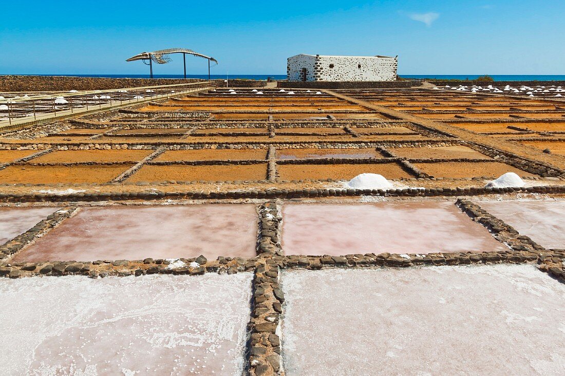 Salinen im El Carmen Salzmuseum an der Ostküste, Caleta de Fuste, Fuerteventura, Kanarische Inseln, Spanien, Europa