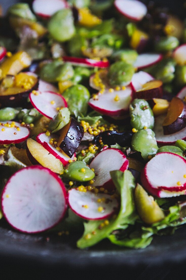 Gemüsesalat mit Ackerbohnen, Radieschen, Pflaumen und Senf-Vinaigrette