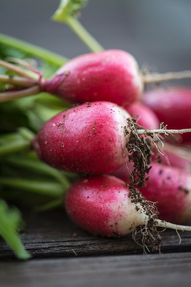 Radishes