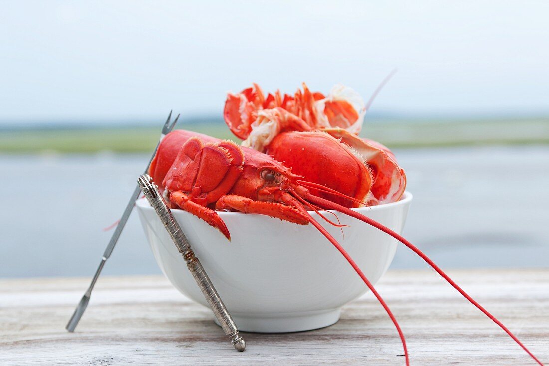 A bowl of lobster shells with the ocean in the background