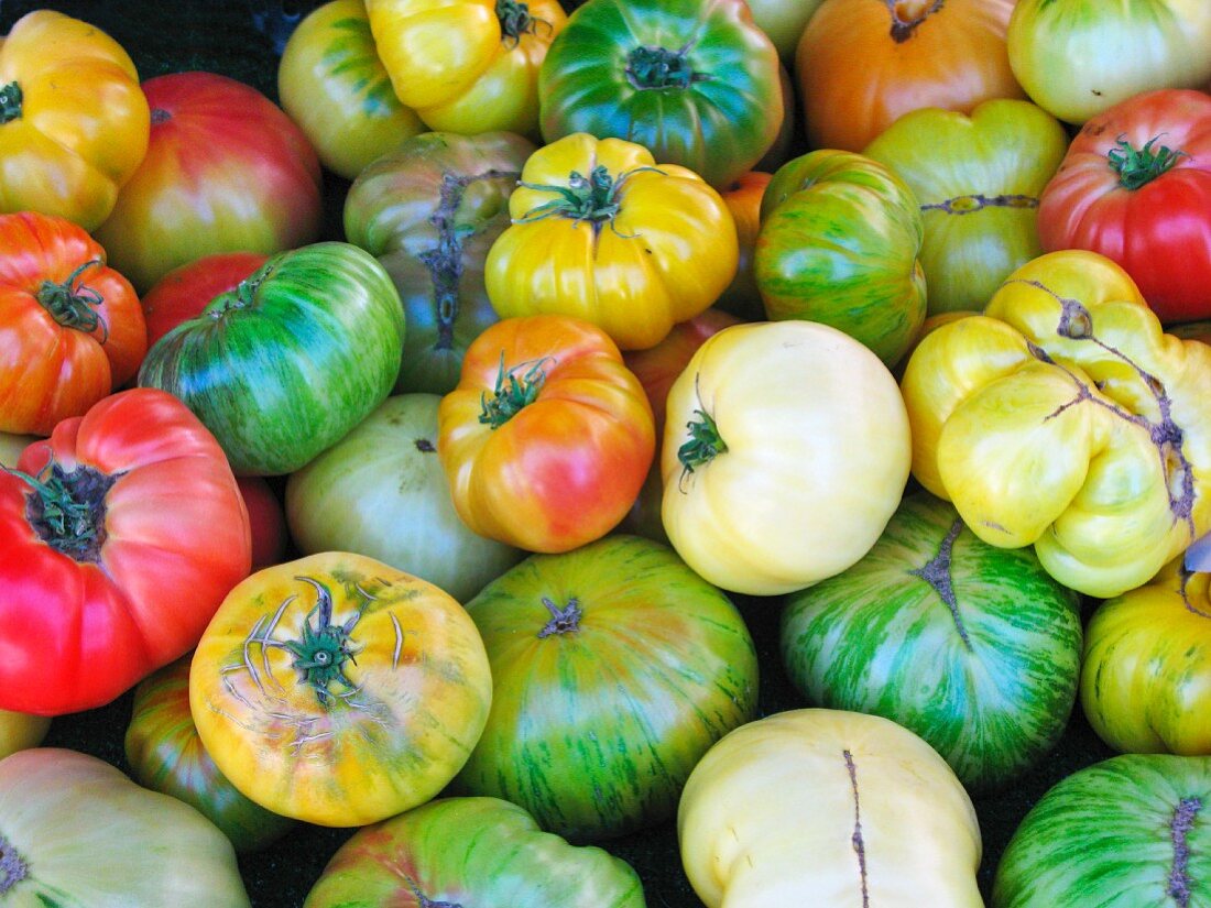 Various heirloom tomatoes