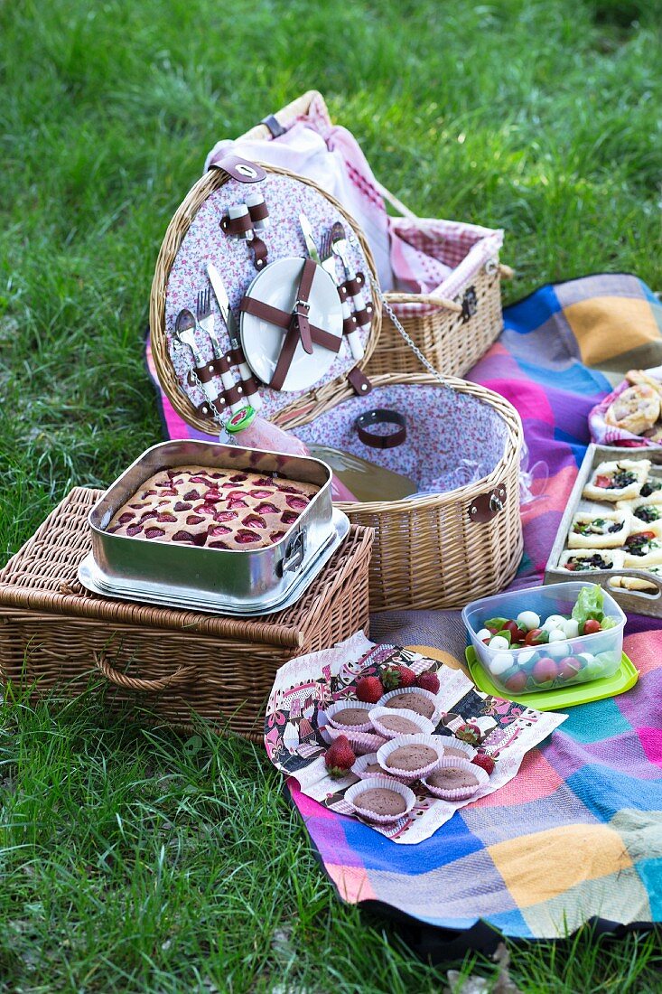 Sommerliches Picknick mit Erdbeerkuchen, Muffins, Salat und Getränken