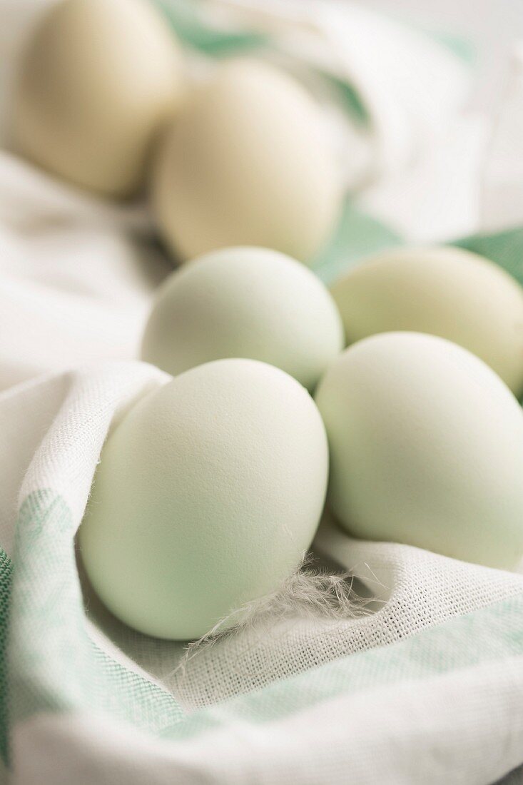Hen's eggs with green shells