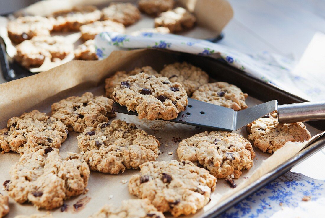 Chocolate Chip Cookies auf Backblech