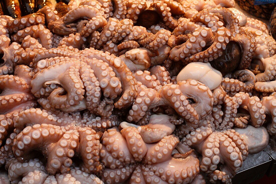 Oktopus auf dem Markt