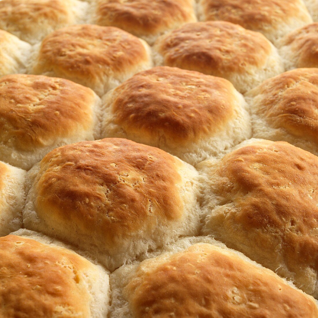 Freshly baked American biscuits in a pan (close-up)